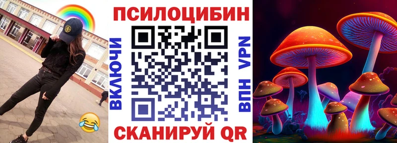 Галлюциногенные грибы Psilocybe  наркошоп  Сысерть 